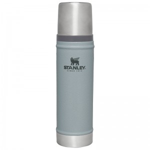 Stanley Classic Legendary Vacuum Bottles 20 OZ Argent | 6081-ZAQBU