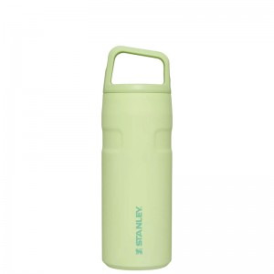 Stanley IceFlow™ Bottle with Cap and Carry+ Lid 16 OZ Vert | 0924-UFJRZ