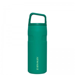 Stanley IceFlow™ Bottle with Cap and Carry+ Lid 16 OZ Vert | 7542-HXFMJ