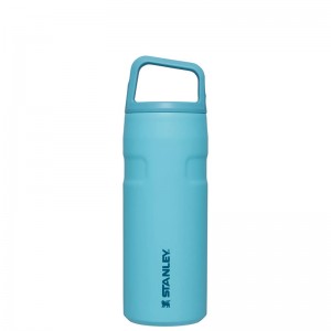 Stanley IceFlow™ Bottle with Cap and Carry+ Lid 16 OZ Bleu | 6195-HQZKU