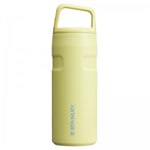 Stanley IceFlow™ Bottle with Cap and Carry+ Lid 16 OZ Jaune | 0647-XJNFP