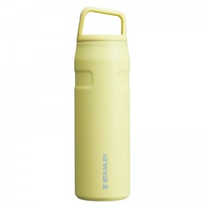 Stanley IceFlow™ Bottle with Cap and Carry+ Lid 24 OZ Jaune | 0354-GMTVR