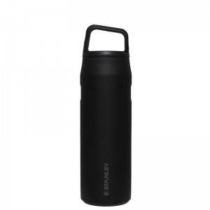 Stanley IceFlow™ Bottle with Cap and Carry+ Lid 24 OZ Noir | 6841-BUNEA