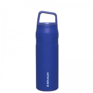 Stanley IceFlow™ Bottle with Cap and Carry+ Lid 24 OZ Bleu Marine | 7613-DQYHF