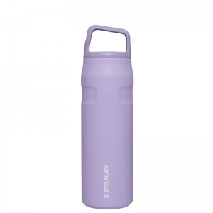 Stanley IceFlow™ Bottle with Cap and Carry+ Lid 24 OZ Lavande | 1948-TVDSY