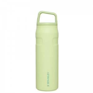 Stanley IceFlow™ Bottle with Cap and Carry+ Lid 24 OZ Vert | 4073-FIGNR