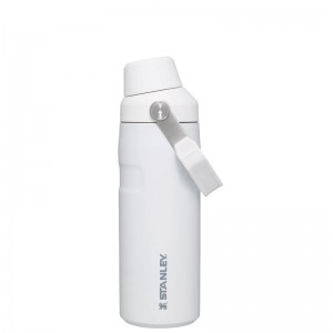 Stanley IceFlow™ Bottle with Fast Flow Lid 16 OZ Blanche | 2375-NRCXO