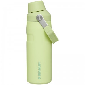 Stanley IceFlow™ Bottle with Fast Flow Lid 16 OZ Vert | 7346-KTOYF