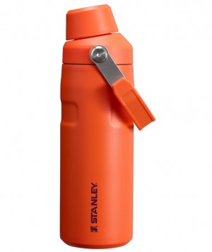 Stanley IceFlow™ Bottle with Fast Flow Lid 16 OZ Violette | 0781-XOLUS