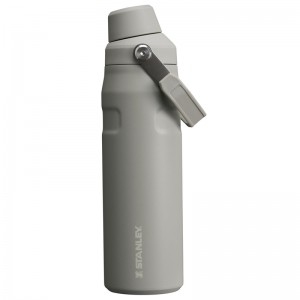 Stanley IceFlow™ Bottle with Fast Flow Lid 24 OZ Grise | 6293-DEFZT