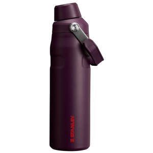 Stanley IceFlow™ Bottle with Fast Flow Lid 24 OZ Violette | 1604-MZDKA