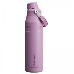 Stanley IceFlow™ Bottle with Fast Flow Lid 36 OZ Violette | 6935-UWZFK