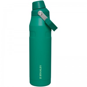 Stanley IceFlow™ Bottle with Fast Flow Lid 36 OZ Vert | 0746-SKUVN