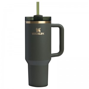 Stanley The Fall Refresh Quencher H2.O FlowState™ Tumbler 40 OZ Grise Vert | 3678-EBYAW