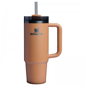 Stanley The Fall Refresh Quencher H2.O FlowState™ Tumbler 30 OZ Marron | 8937-NKOFA