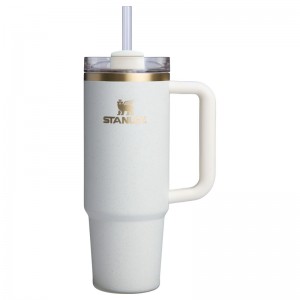 Stanley The Fall Refresh Quencher H2.O FlowState™ Tumbler 30 OZ Blanche | 4738-TZYPO