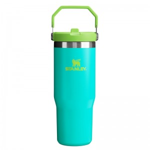 Stanley The Heat Wave IceFlow™ Flip Straw Tumbler 30 OZ Turquoise | 6014-HUWXT