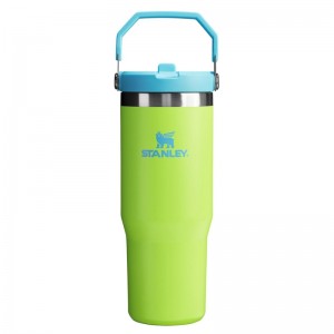 Stanley The Heat Wave IceFlow™ Flip Straw Tumbler 30 OZ Vert Clair | 0287-ZMNSC