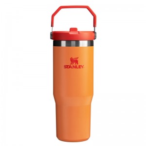 Stanley The Heat Wave IceFlow™ Flip Straw Tumbler 30 OZ Orange | 1786-VGLRY