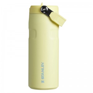 Stanley The IceFlow™ Bottle with Flip Straw Lid 16 oz Jaune | 2084-DWIGE