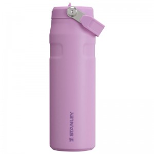 Stanley The IceFlow™ Bottle with Flip Straw Lid 24 OZ Violette | 3814-LYGAI