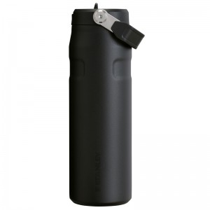 Stanley The IceFlow™ Bottle with Flip Straw Lid 24 OZ Noir | 1879-LVDBW