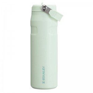 Stanley The IceFlow™ Bottle with Flip Straw Lid 24 OZ Blanche | 8059-VEITG