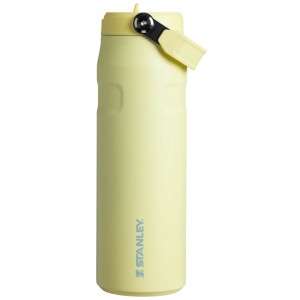 Stanley The IceFlow™ Bottle with Flip Straw Lid 24 OZ Jaune | 6235-WTLBS