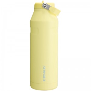 Stanley The IceFlow™ Bottle with Flip Straw Lid 50 oz Jaune | 7290-CHRMS