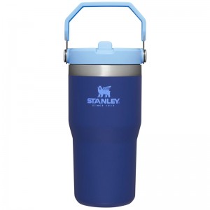 Stanley The IceFlow™ Flip Straw Tumbler 20 OZ Bleu Marine | 7082-ITAQW