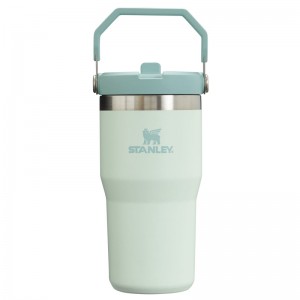 Stanley The IceFlow™ Flip Straw Tumbler 20 OZ Blanche | 3297-JNDQE