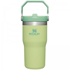 Stanley The IceFlow™ Flip Straw Tumbler 20 OZ Vert | 8704-RWTSQ