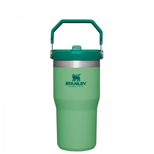 Stanley The IceFlow™ Flip Straw Tumbler 20 OZ Vert | 3014-PJLIU