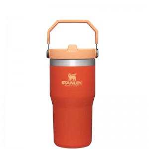 Stanley The IceFlow™ Flip Straw Tumbler 20 OZ Orange | 3420-CNYWI