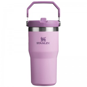 Stanley The IceFlow™ Flip Straw Tumbler 20 OZ Violette | 4691-WXUIB