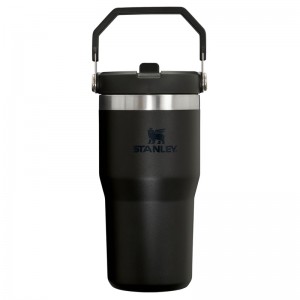 Stanley The IceFlow™ Flip Straw Tumbler 20 OZ Noir | 2560-OZQPT