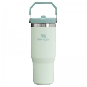 Stanley The IceFlow™ Flip Straw Tumbler 30 OZ Blanche | 4390-RXQCB