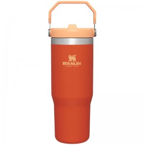 Stanley The IceFlow™ Flip Straw Tumbler 30 OZ Orange | 3807-LCDOF