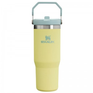 Stanley The IceFlow™ Flip Straw Tumbler 30 OZ Jaune | 0798-QWZHE