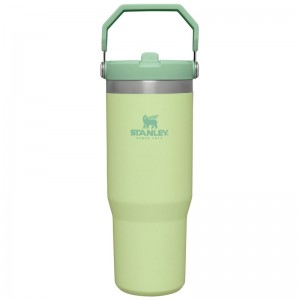 Stanley The IceFlow™ Flip Straw Tumbler 30 OZ Vert | 6391-DHUGB