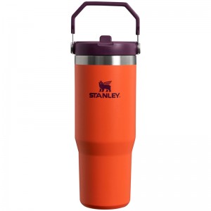 Stanley The IceFlow™ Flip Straw Tumbler 30 OZ Violette | 1457-CDTEY