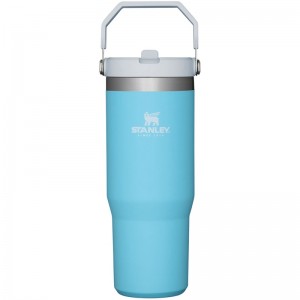 Stanley The IceFlow™ Flip Straw Tumbler 30 OZ Bleu | 1426-EISFH