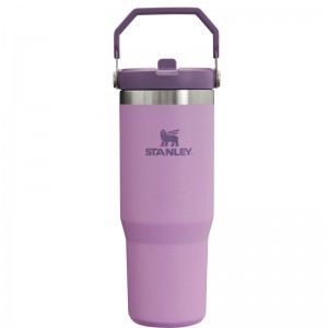 Stanley The IceFlow™ Flip Straw Tumbler 30 OZ Violette | 5132-NHGYJ