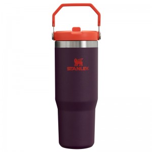 Stanley The IceFlow™ Flip Straw Tumbler 30 OZ Violette | 1794-FMQWS