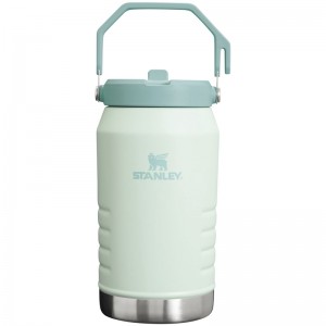 Stanley The IceFlow™ Flip Water Jug 64 OZ Blanche | 9841-LQZOY