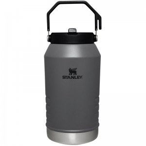 Stanley The IceFlow™ Flip Water Jug 96 OZ Grise | 9523-VFWXG