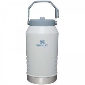 Stanley The IceFlow™ Flip Water Jug 96 OZ Grise | 6327-PFOXJ