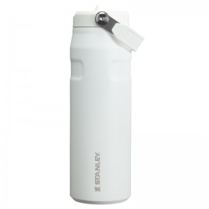 Stanley The IceFlow™ with Flip Straw Lid 24 OZ Blanche | 2096-TZUKJ