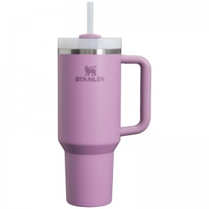 Stanley The Quencher H2.0 FlowState™ Tumbler 40 OZ Violette | 0157-MBOGH