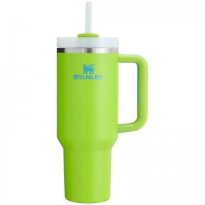 Stanley The Quencher H2.0 FlowState™ Tumbler 40 OZ Vert Clair | 1729-NQUKF